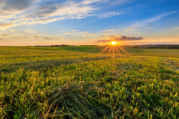 Solnedgång på odlad mark på landet en sommar. — Stockfoto