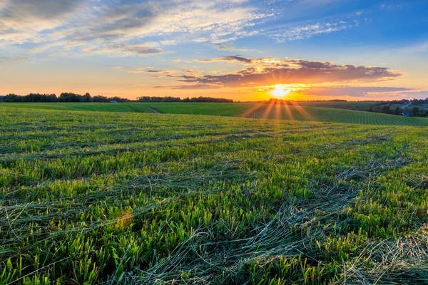 Puesta de sol en tierras cultivadas en el campo en un verano . —  Fotos de Stock