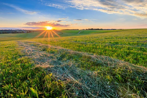 Ανατολή του ήλιου σε καλλιεργούμενη γη στην ύπαιθρο σε ένα καλοκαίρι. — Φωτογραφία Αρχείου