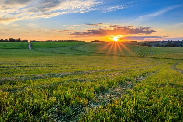 Захід сонця на оброблюваних землях в сільській місцевості влітку . — стокове фото