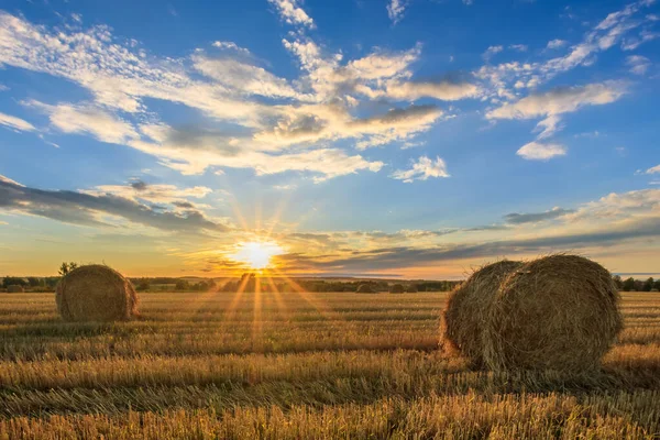 Haystacks em campo na temporada de outono . — Fotografia de Stock