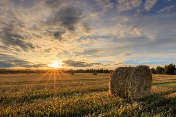 Heuhaufen auf dem Feld im Herbst. — Stockfoto