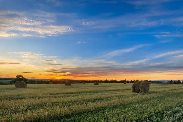 Haystacks på fältet under höstsäsongen. — Stockfoto