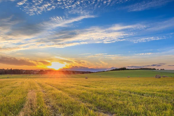 Een veld met stapels op een zonsondergang. — Stockfoto