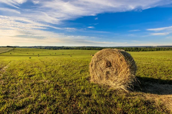 A field with stacks on a summer evening. — Stock Photo, Image