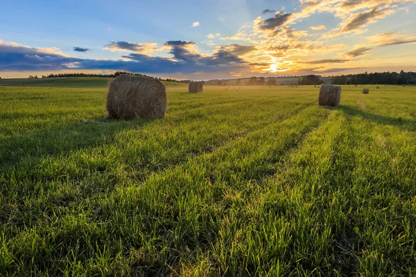 Um campo com pilhas em um pôr do sol . — Fotografia de Stock