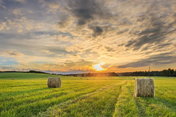 Un campo con pile su un tramonto . — Foto Stock