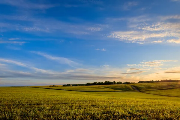 Захід сонця на оброблюваних землях в сільській місцевості влітку . — стокове фото