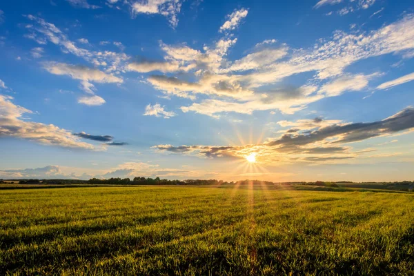 Puesta de sol en tierras cultivadas en el campo en un verano . — Foto de Stock