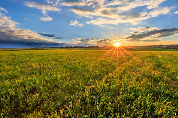 Solnedgång på odlad mark på landet en sommar. — Stockfoto