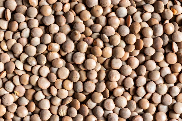 Feche o fundo de sementes de lentilha marrom. Alimentos vegetarianos saudáveis . — Fotografia de Stock