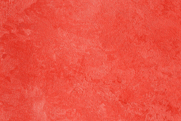 Texture of living coral decorative plaster.