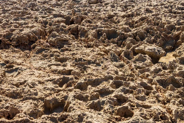 Tekstura skał wybrzeża morskiego w słoneczny dzień. — Zdjęcie stockowe