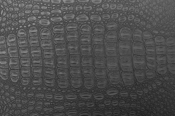 Monochrome crocodile leather texture.