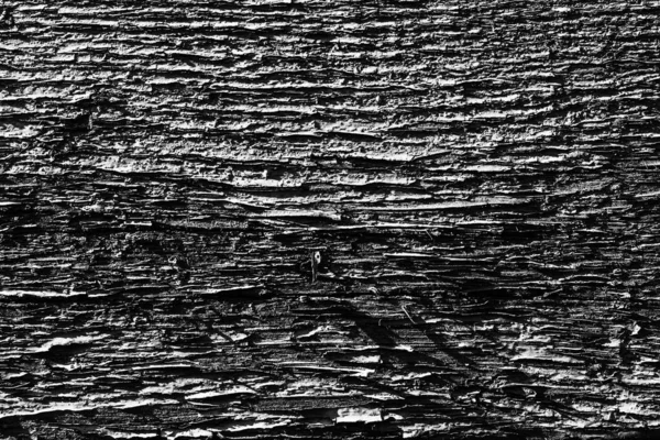 Monochrome texture of a board. Abstract background. — Stock Photo, Image