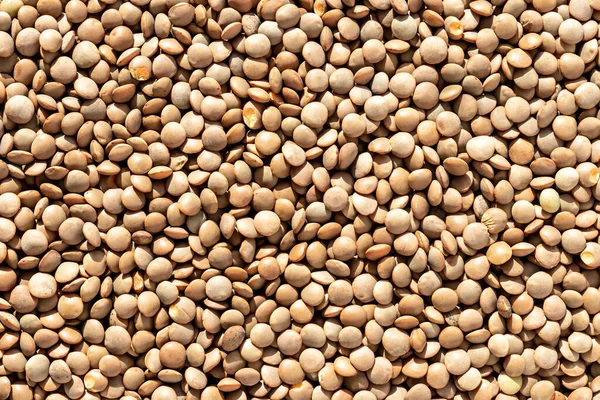 Close up brown lentil seeds background. Healthy vegeterian food. — Stock Photo, Image