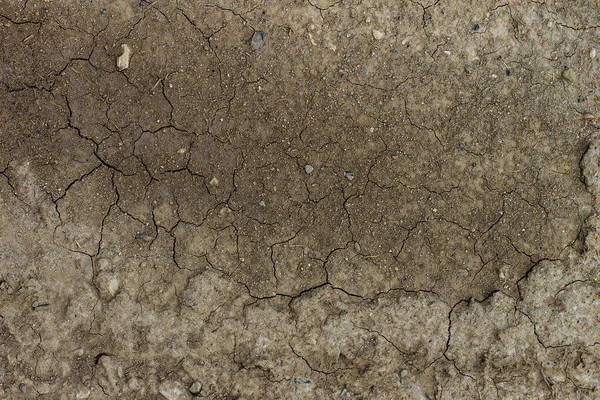 Fondo de tierra gris agrietado seco — Foto de Stock