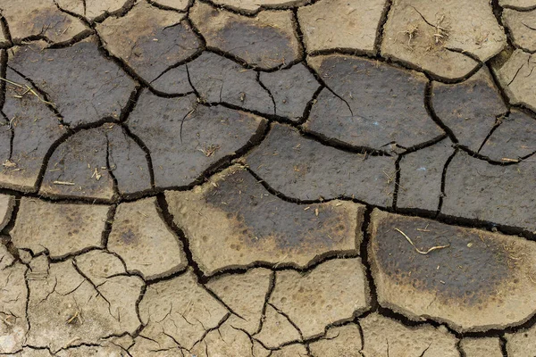 Kuru çatlak gri yeryüzü arkaplanı — Stok fotoğraf