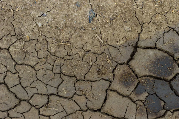 Dry cracked grey earth background — Stock Photo, Image