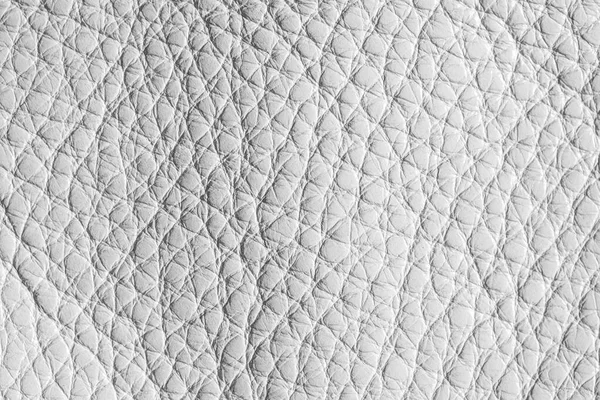 Textura de couro branco . — Fotografia de Stock