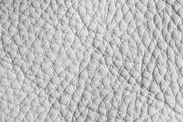 Textura de couro branco . — Fotografia de Stock