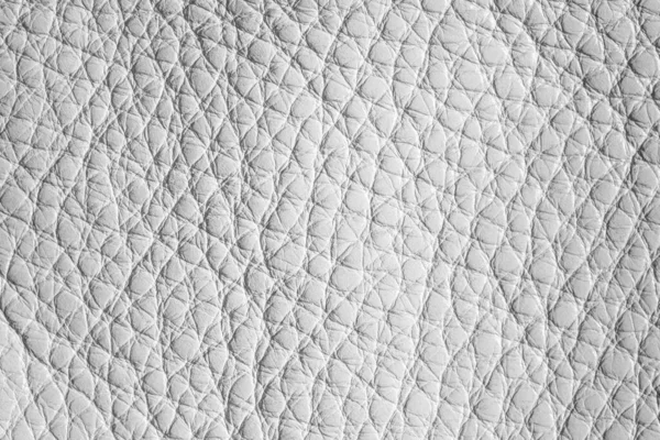 Textura de couro branco . — Fotografia de Stock