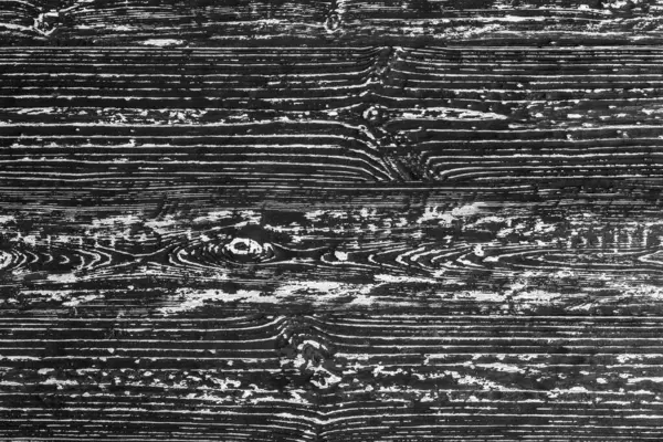 Černá a bílá dřevěná textura. — Stock fotografie