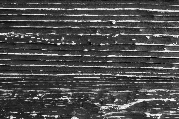 Černá a bílá dřevěná textura. — Stock fotografie
