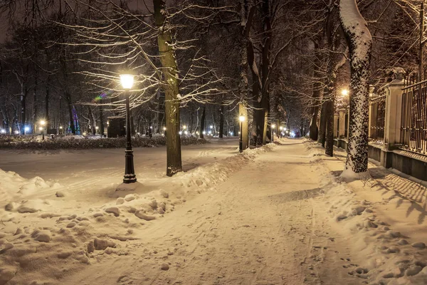 Winter park at night. — Stock Photo, Image
