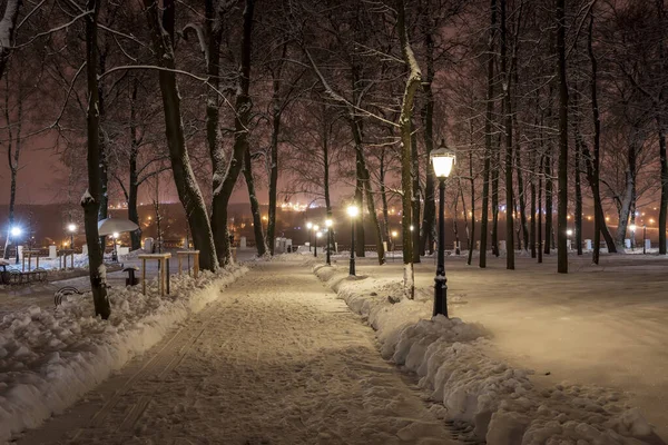 Zimní park v noci. — Stock fotografie