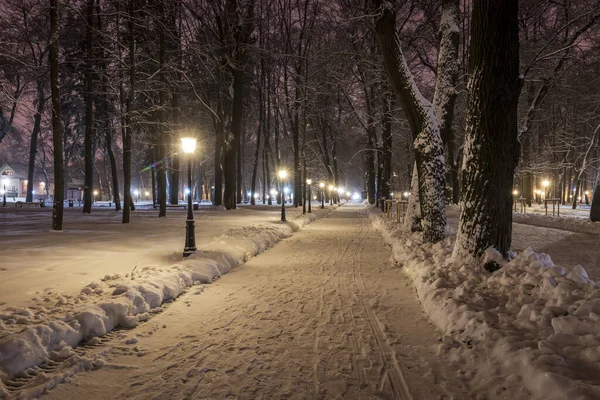 Winter park at night. — Stock Photo, Image