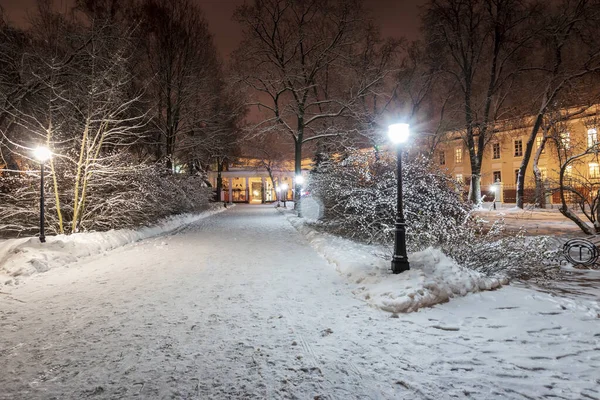 Park zimą w nocy. — Zdjęcie stockowe