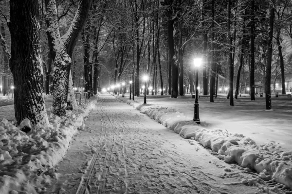 Winter park at night — Stock Photo, Image