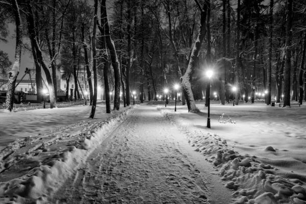 Winter park at night — Stock Photo, Image