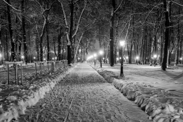 Parque de invierno por la noche — Foto de Stock