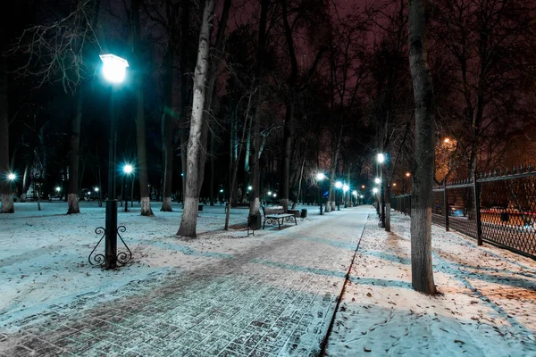 Ночной парк зимой с выпавшим снегом . — стоковое фото