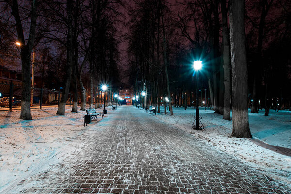 Night park in winter with trees, lanterns and fallen snow. Landscape.