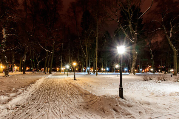 Night park in winter with trees, lanterns and fallen snow. New Year's decorations. Landscape.