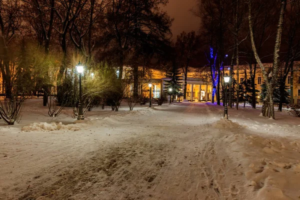 Parque nocturno en invierno con nieve caída . — Foto de Stock
