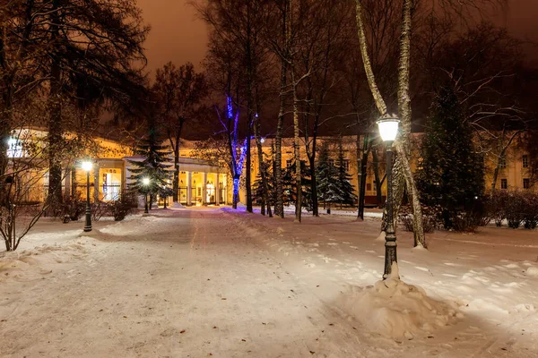 Parque nocturno en invierno con nieve caída . — Foto de Stock