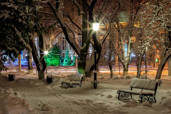 Скамейка в зимнем парке ночью . — стоковое фото