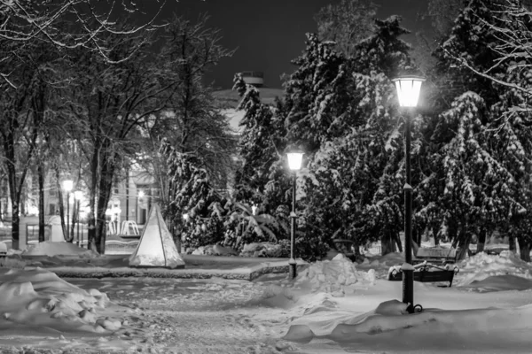 Winter park at night. — Stock Photo, Image