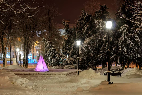 Зимовий парк вночі . — стокове фото