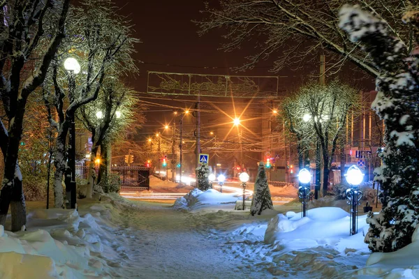 Parque de invierno por la noche . — Foto de Stock