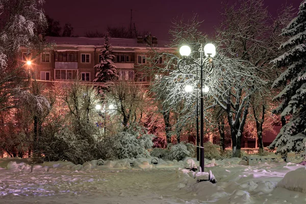 Winter park, gece. — Stok fotoğraf