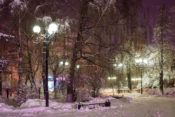 Зимний парк ночью . — стоковое фото