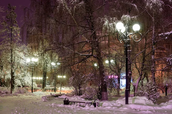 夜の冬公園. — ストック写真