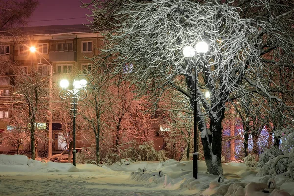 Parque de inverno à noite . — Fotografia de Stock
