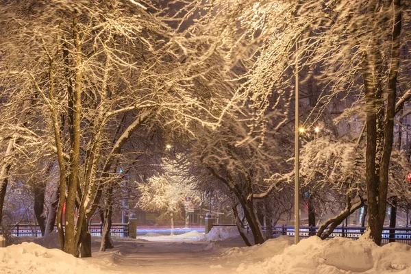 Зимовий парк вночі . — стокове фото