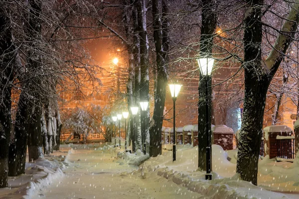 Parque de invierno por la noche . — Foto de Stock